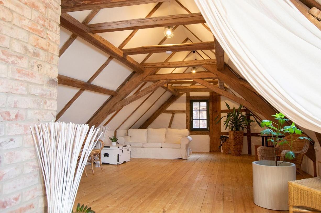 Bollberg Naturhof-Papiermuehle 2 Bett-Zimmer Rosenrot מראה חיצוני תמונה